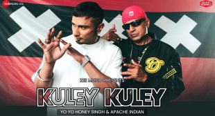 Kuley Kuley Lyrics- Yo Yo Honey Singh